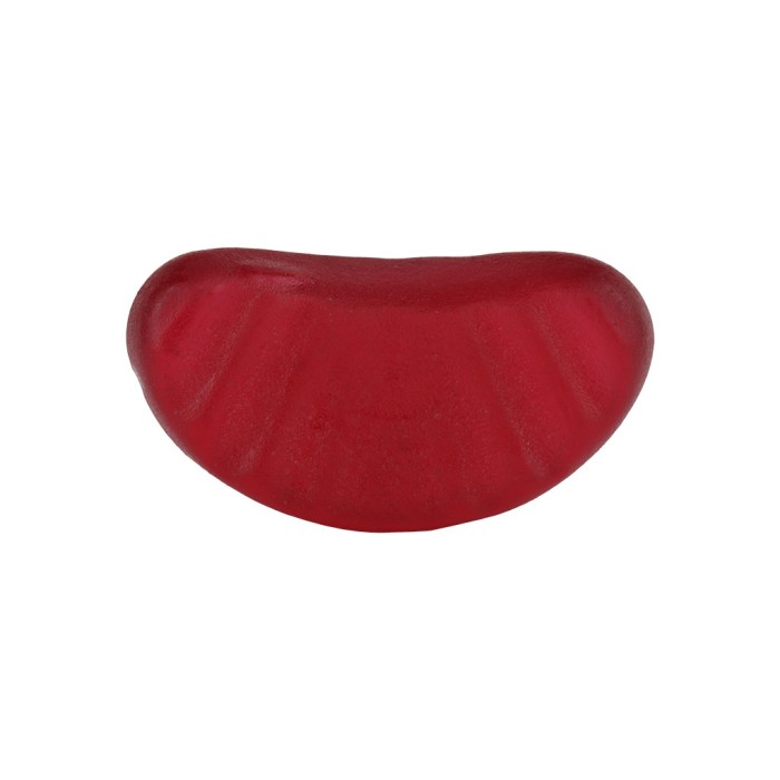 Gummies VITALITÉ FAMILLE