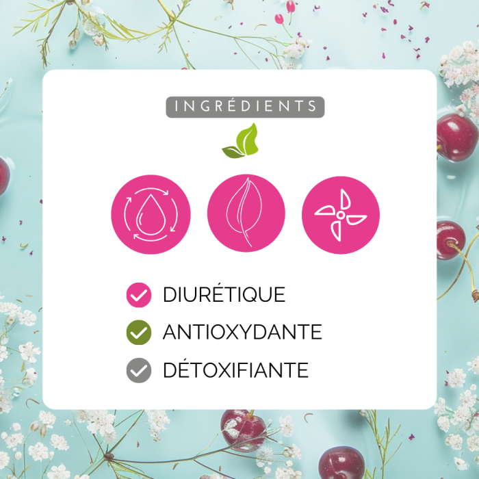 Infusion Queue de Cerise – Drainante & Détox Naturelle - FitClem