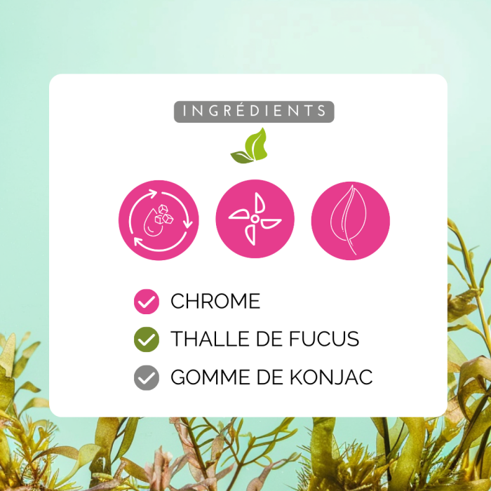 Coupe-Faim au Konjac Fruits Rouges – Contrôle de l'Appétit - Fitclem
