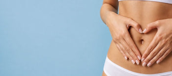 digestion 