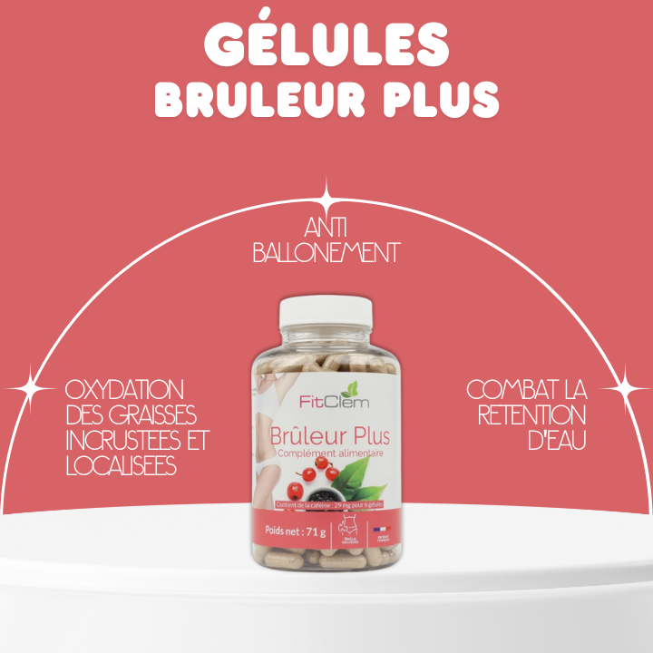 BRÛLEUR PLUS - Oxydation des graisses incrustées