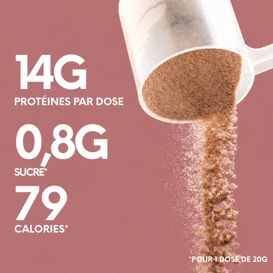 Fit Choco Délice | Boisson chaude hyper-protéinée