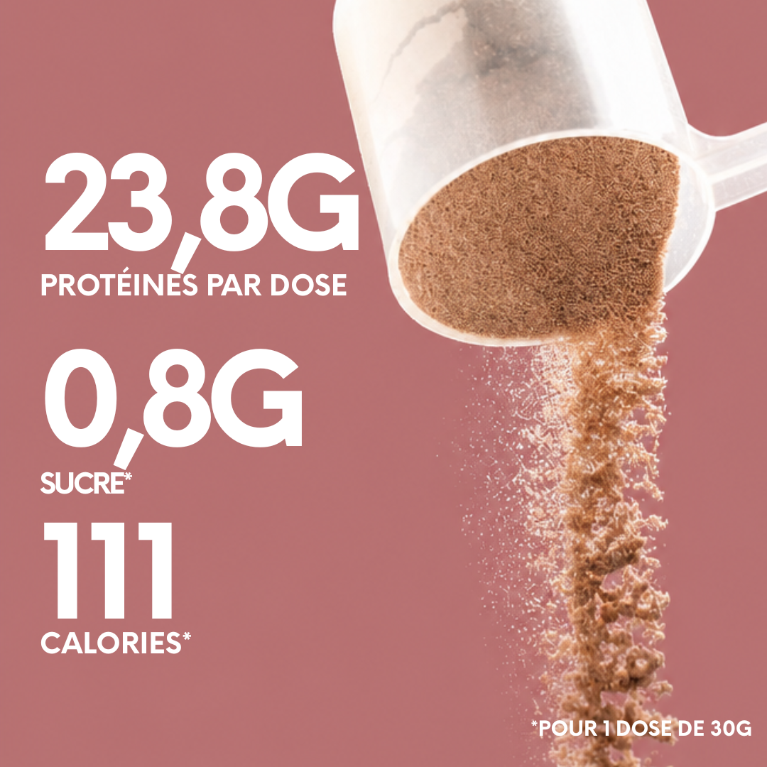 Whey Iso Chocolat | Faible en lactose, protéine pur à 90%