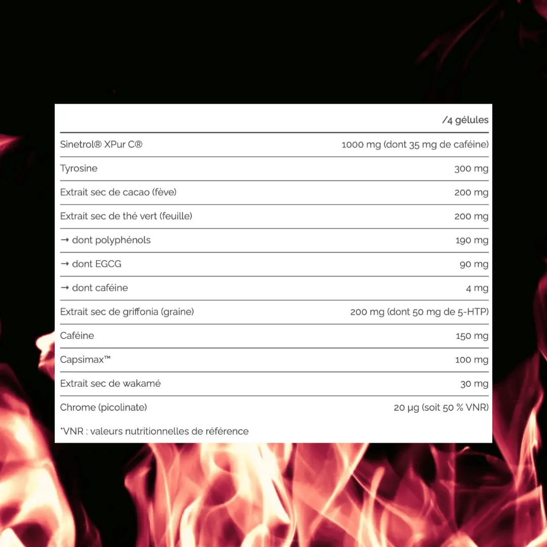 Apports nutritionnels du Burner Max pour la dose journalière de 4 gélules.