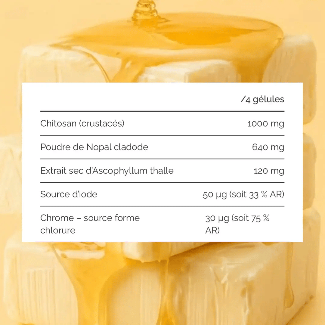 Apports pour 4 gélules : chitosan 1 000 mg, nopal 640 mg, ascophyllum 120 mg, iode 50 microgrammes et chrome 30 microgrammes.