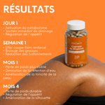 Évolution annoncée du premier jour au quatrième mois : régulation de l’appétit, réduction des ballonnements et amélioration progressive de la silhouette.