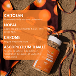 Le chitosan, le nopal, le chrome et l’ascophyllum sont présentés pour agir sur l’absorption des graisses, la satiété, la glycémie et le métabolisme.