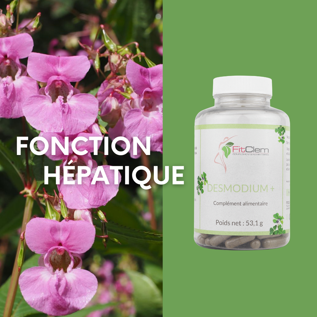 Desmodium+ FitClem à base de feuille de desmodium, présenté pour soutenir la fonction hépatique.