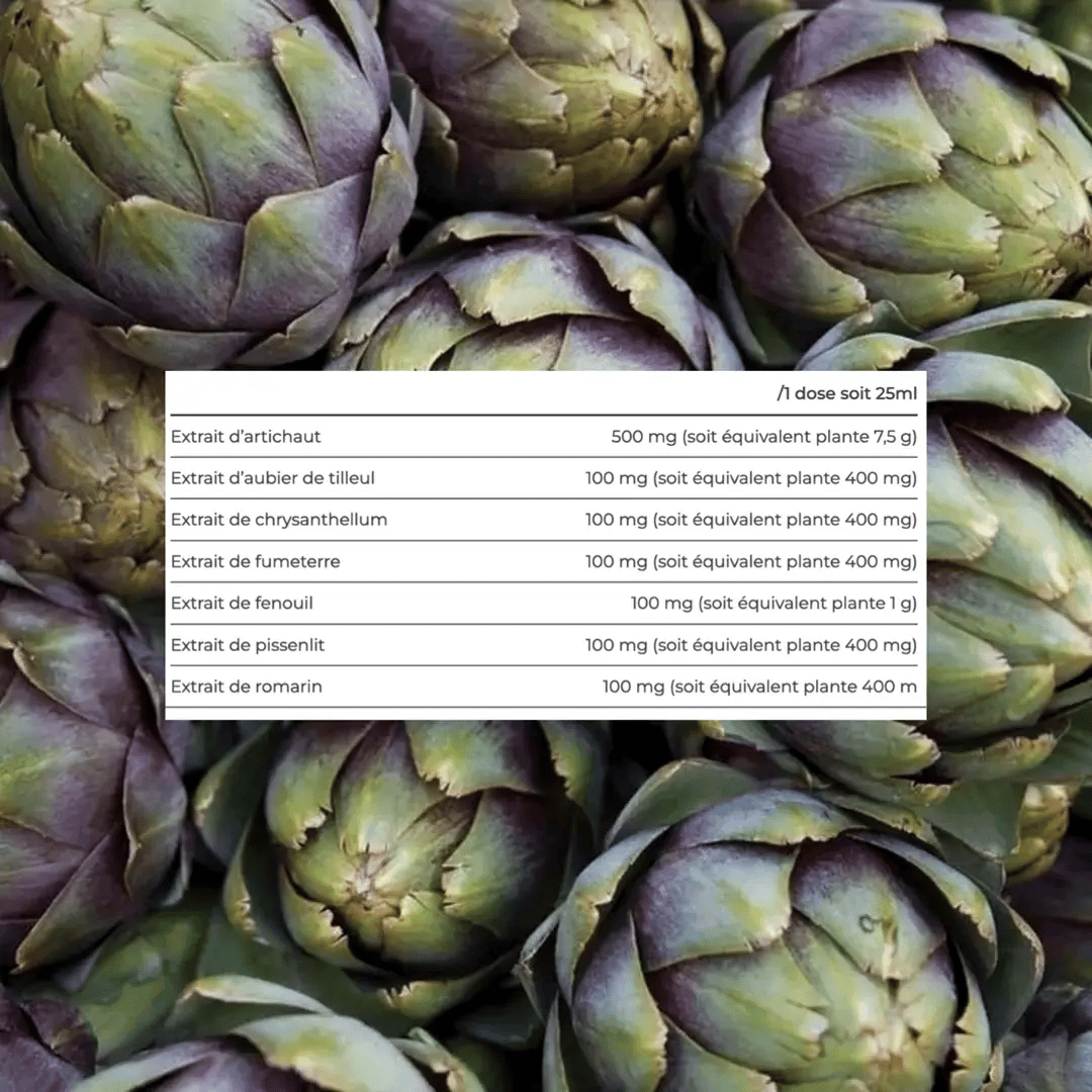Apports pour une dose de 25 ml : extrait d’artichaut 500 mg, aubier de tilleul 100 mg, chrysanthellum 100 mg, fumeterre 100 mg, fenouil 100 mg, pissenlit 100 mg et romarin 100 mg.