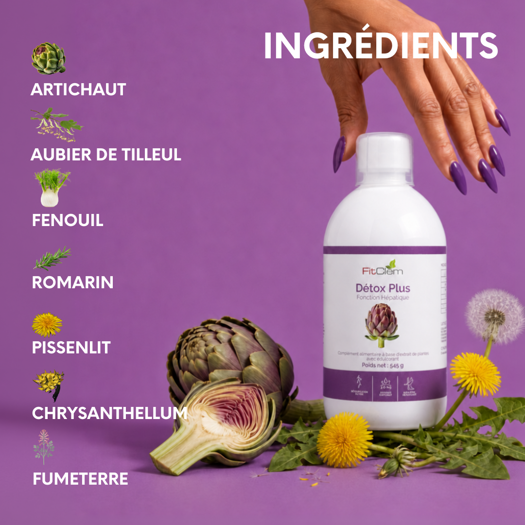 Principaux ingrédients de Détox Plus : artichaut, aubier de tilleul, fenouil, romarin, pissenlit, chrysanthellum et fumeterre.