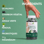 Principaux ingrédients de Digestion Ventre Plat : Ulvaline, charbon végétal, argile verte, fenouil, probiotiques et magnésium.
