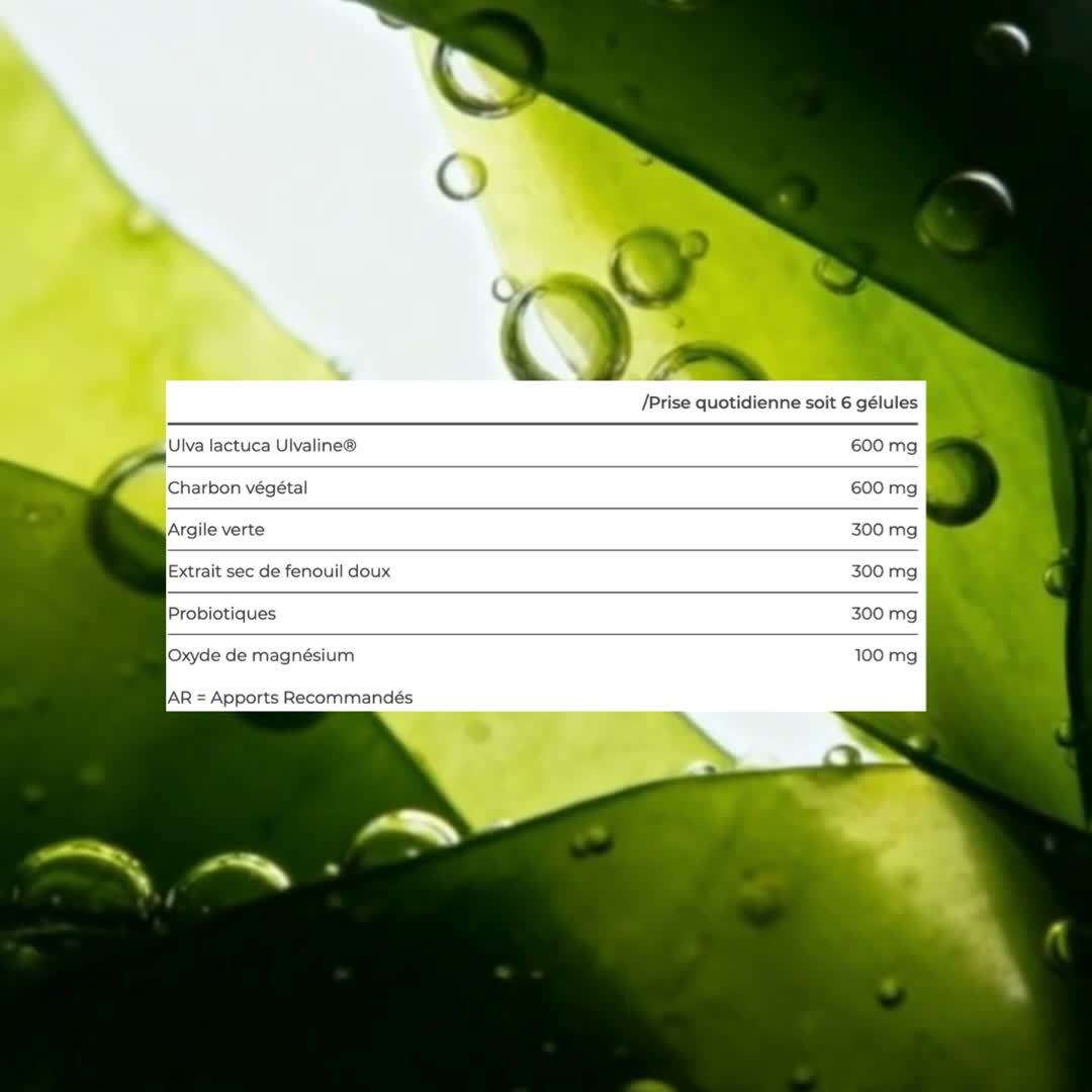 Apports pour 6 gélules : Ulva lactuca Ulvaline 600 mg, charbon végétal 600 mg, argile verte 300 mg, extrait de fenouil doux 300 mg, probiotiques 300 mg et oxyde de magnésium 100 mg.