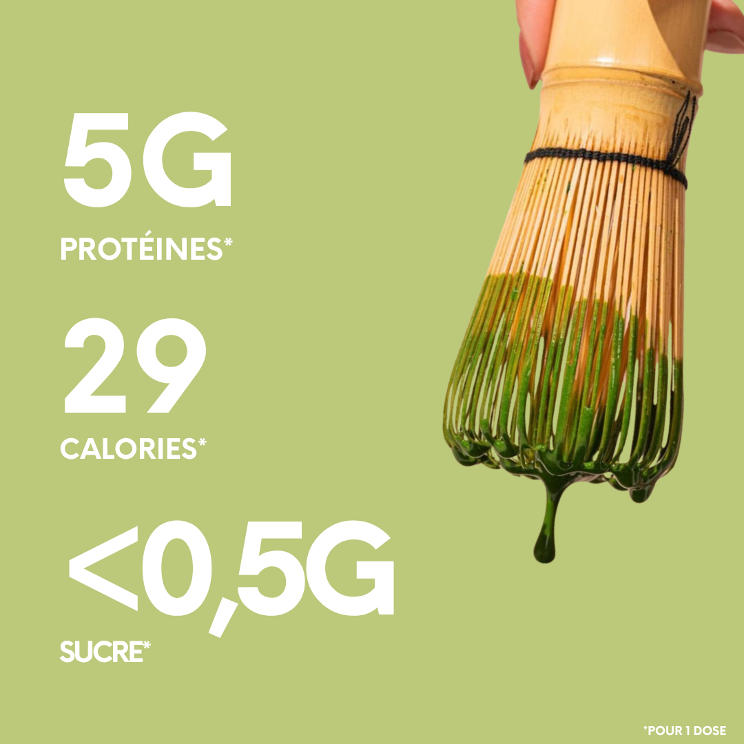 Matcha Protein | Saveur Vanille | 5G protéines | 29 Calories | Sans sucre | 30 doses
