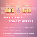 Comparaison de la peau sans et avec SOD B Dimpless, montrant une réduction annoncée de la taille des cellules graisseuses et de la fibrose.
