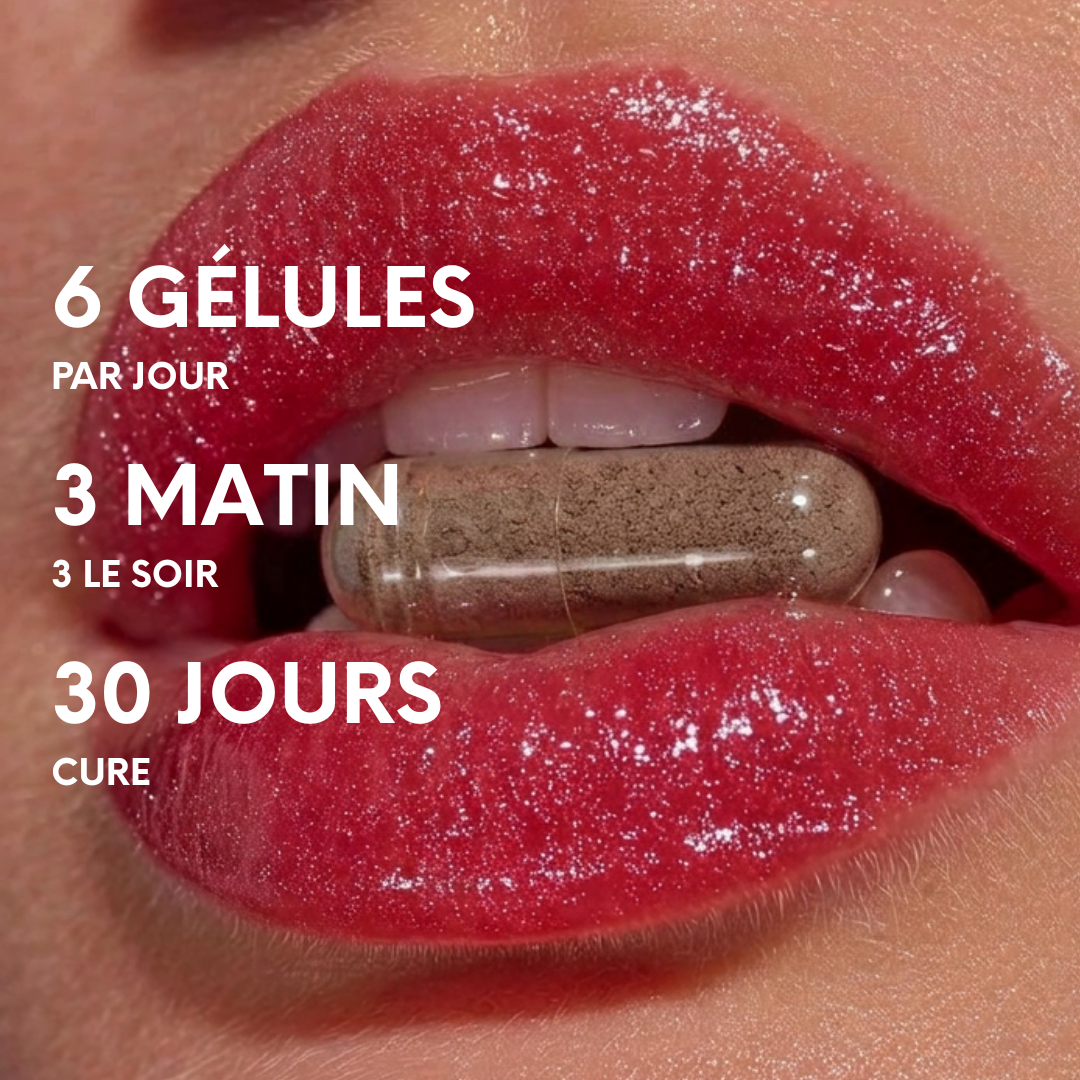 Conseil d’utilisation : prendre 6 gélules par jour, 3 le matin et 3 le soir, pendant 30 jours.