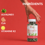 Principaux actifs de Silhouette Plus : Ulvaline, CLA et vitamine K2.